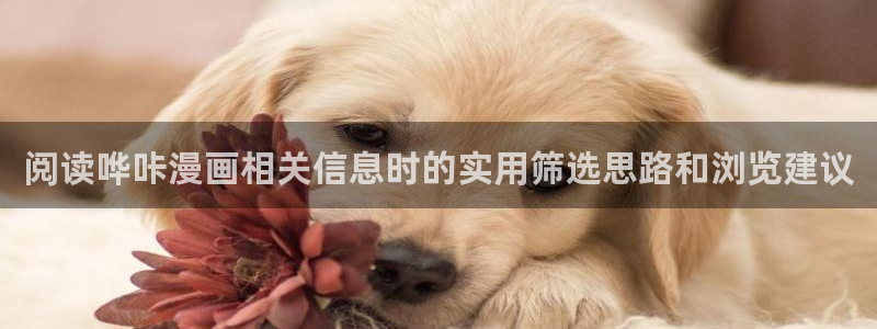 梦漫漫画完结漫画推荐:阅读哗咔漫画相关信息时的实用筛选思路和浏览建议