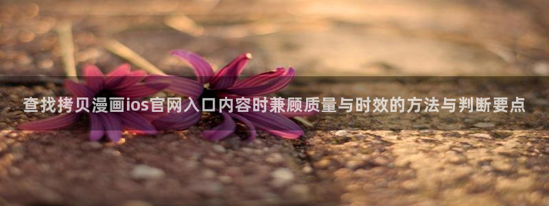 梦漫漫画APP入口:查找拷贝漫画ios官网入口内容时兼顾质量与时效的方法与判断要点