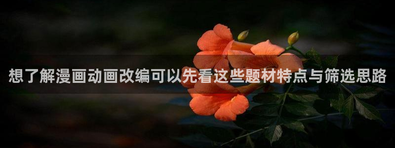 梦漫漫画精品漫画：想了解漫画动画改编可以先看这些题材特点与筛选思路